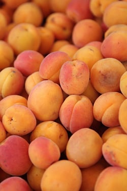 apricots