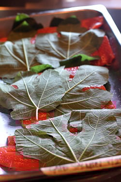 salmon and fig leaves