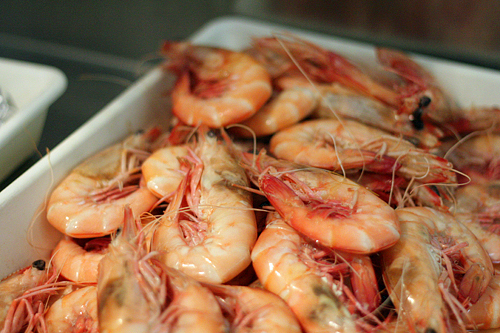 prawns