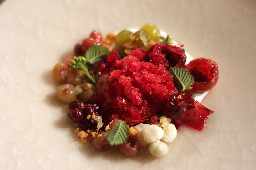 forages Australian berries