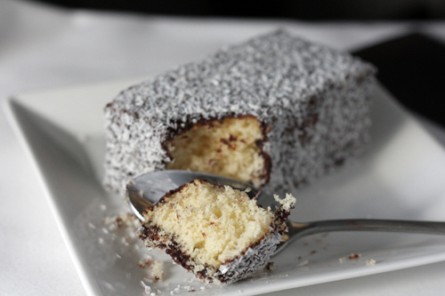 airplane lamington