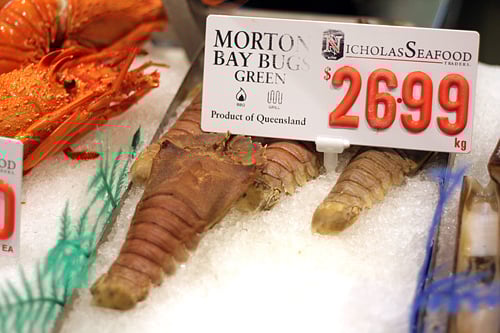 bugs in Sydney fish market