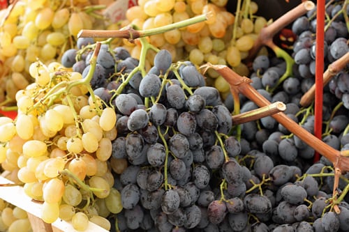 Italian grapes at market