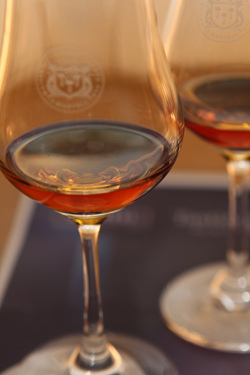 cognac glass