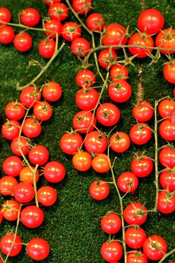 cherry tomatoes