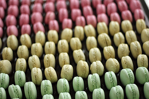 Alain Ducasse Macarons
