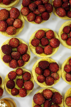 fraises des bois tartlets