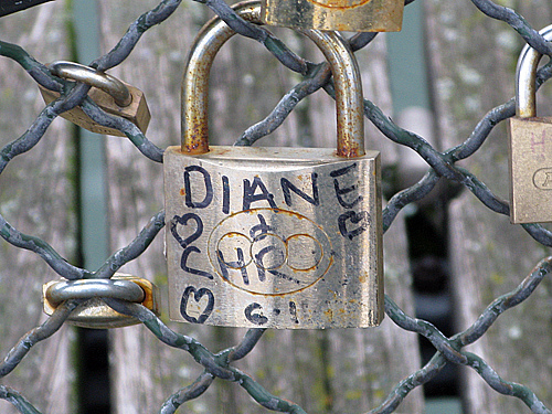 diane and chris - Pont des Arts, Paris