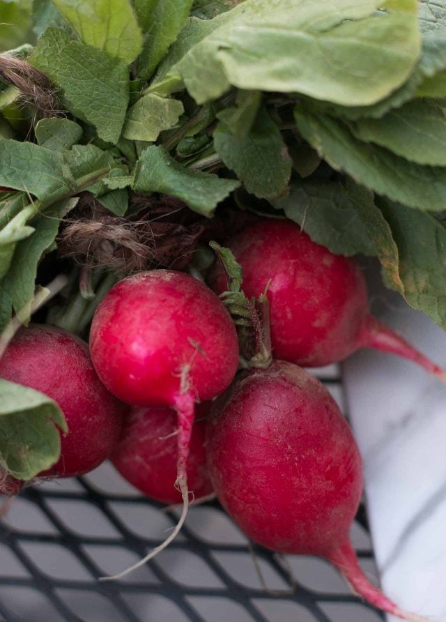 Pickled radish recipe