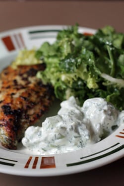 tzatziki & chicken
