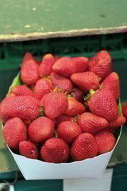 strawberries