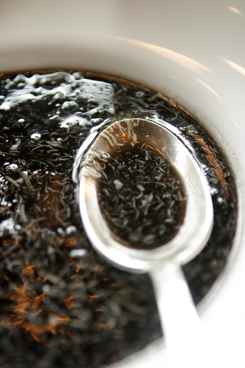 squid ink soup