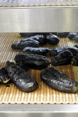 roasted eggplant