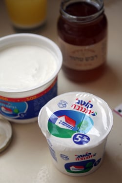 Israeli dairy products
