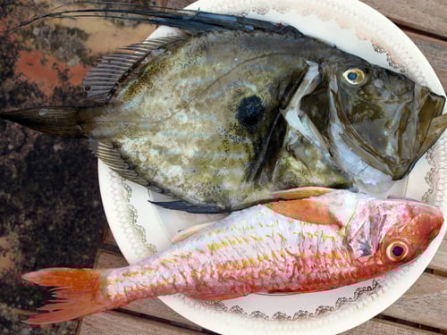 saint pierre and rouget