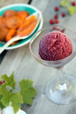 red wine raspberry sorbet