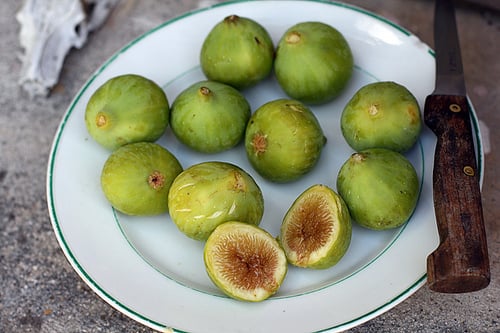 fig