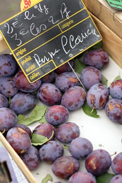 Italian prune plums