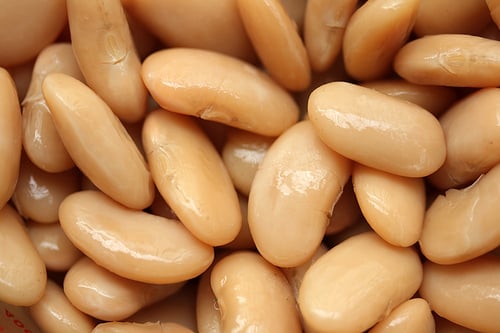 haricots tarbais - white bean dip