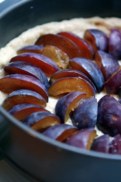 plums for tart