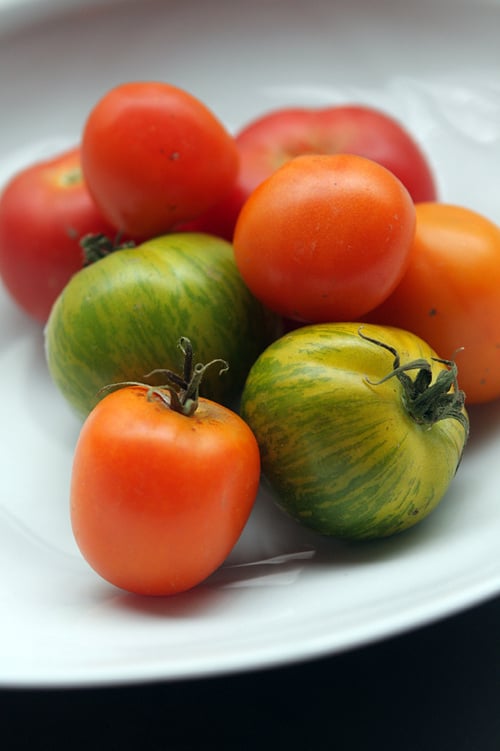 tomatoes