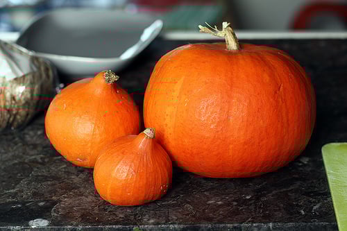 pumpkins & potimarron