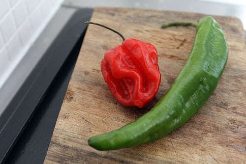 peppers for shakshuka