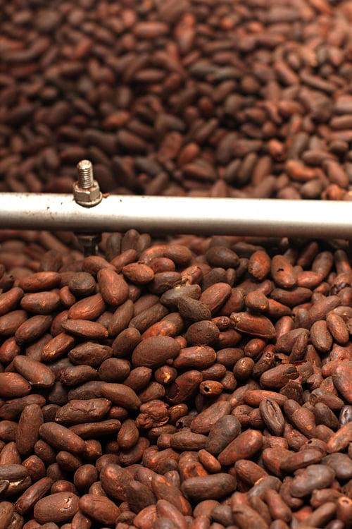 roasting cocoa beans for chocolate