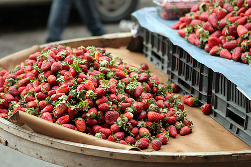 Syrian strawberry cart