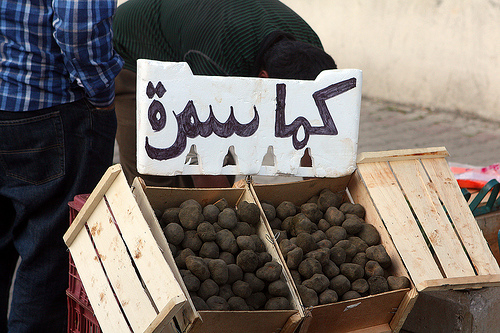 Lebanese black truffles