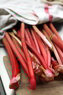 just-picked rhubarb