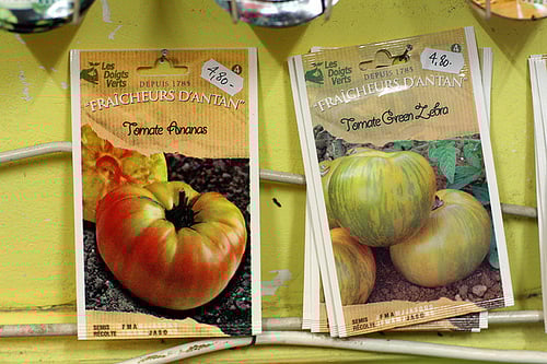French tomato seeds
