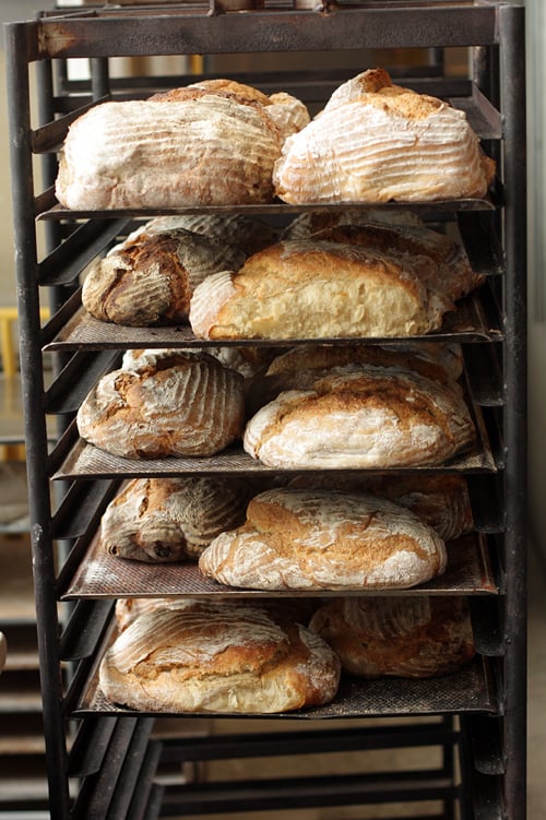 bread rack at Rosendals Trรคdgรฅrd
