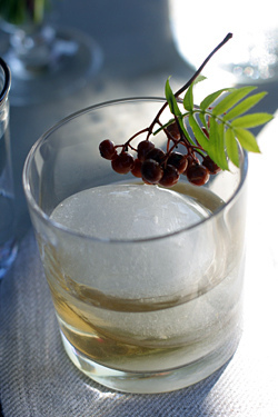 billberry cocktail