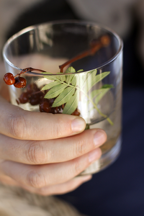 billberries in a cocktail