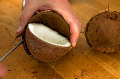 coconut meat