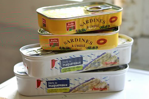 sardines and mackerel