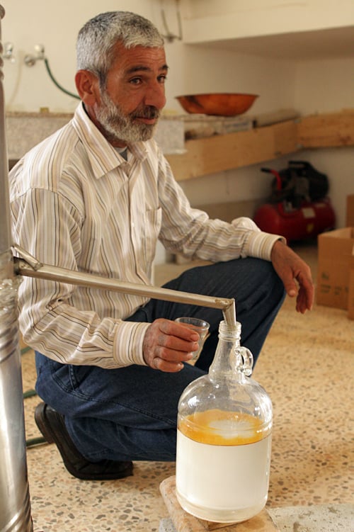 distilling za'atar water and oil