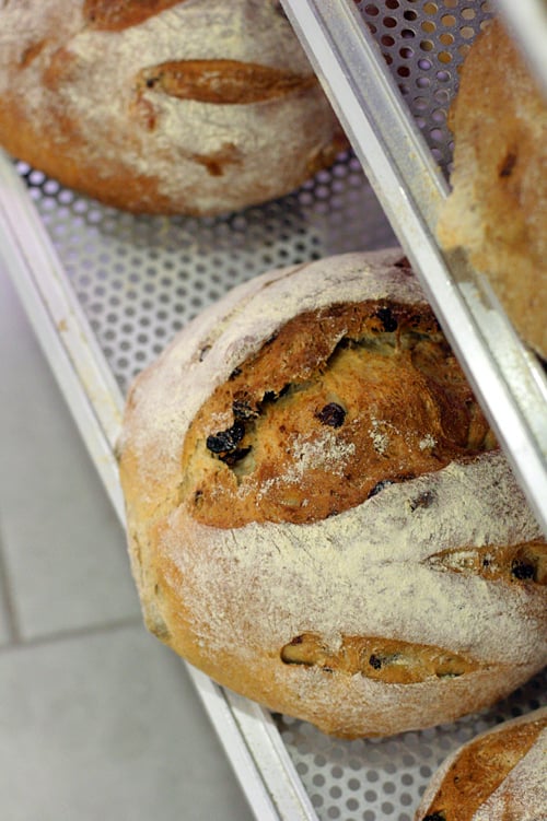 Seville bread in Spain