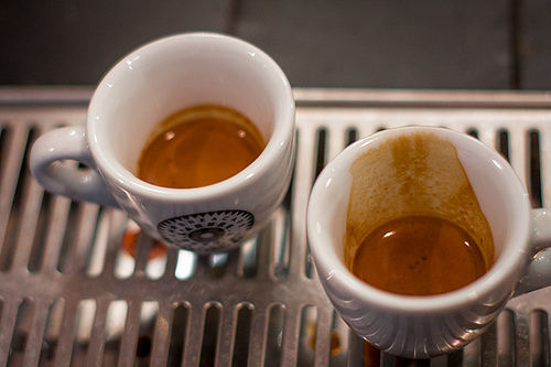 L'arbre ร cafรฉ