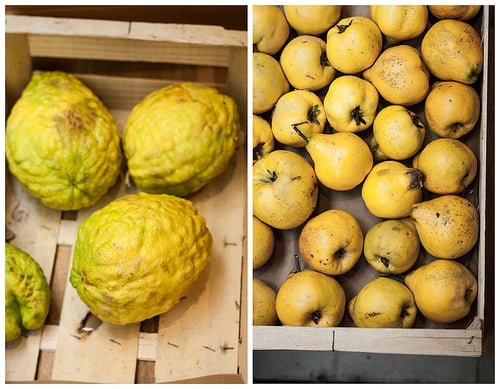 Terroirs d'Avenir in Paris