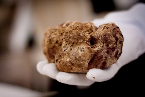 Restaurant Le Meurice