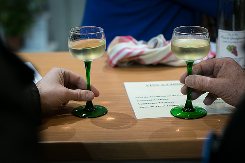 Paris Salon de l'Agriculture in Paris