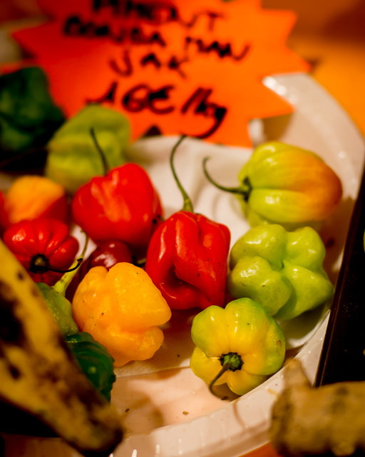 Salon de l'Agriculture in Paris
