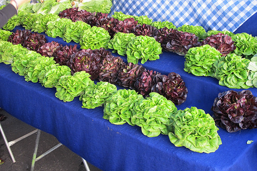 market lettuce at Hollywood Farmers Market