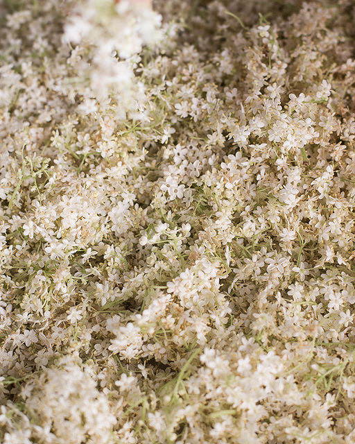 elderflowers