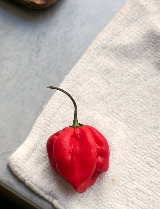 Vietnamese Rice Noodle Salad