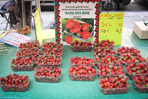 Hyères, Provence (France)