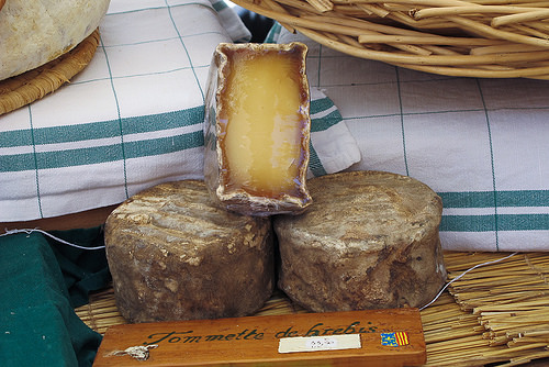 Hyères, Provence (France)