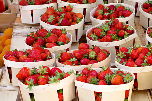 Hyères, Provence (France)